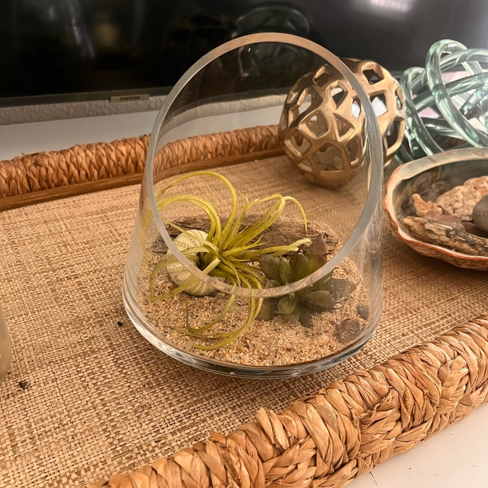 Terrarium